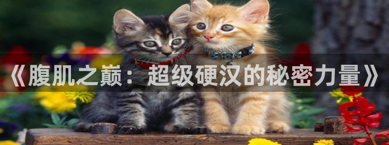 樱花动漫破解版：《腹肌之巅：超级硬汉的秘密力量》
