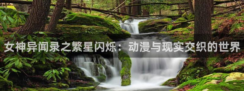 樱花动漫武庚纪：女神异闻录之繁星闪烁：动漫与现实交织的世界