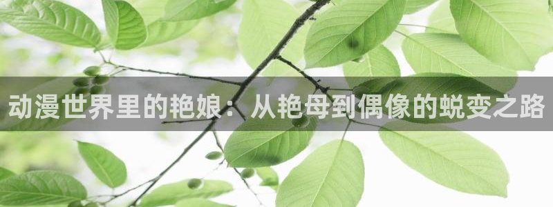银之方程式樱花动漫：动漫世界里的艳娘：从艳母到偶像的蜕变之路