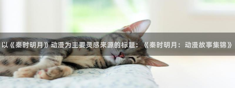 第一神拳樱花动漫：以《秦时明月》动漫为主要灵感来源的标题：《秦时明月：动漫故事集锦》